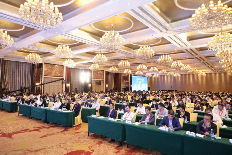 图片5